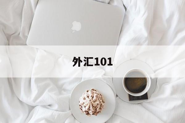 外汇101(外汇101交易系统)